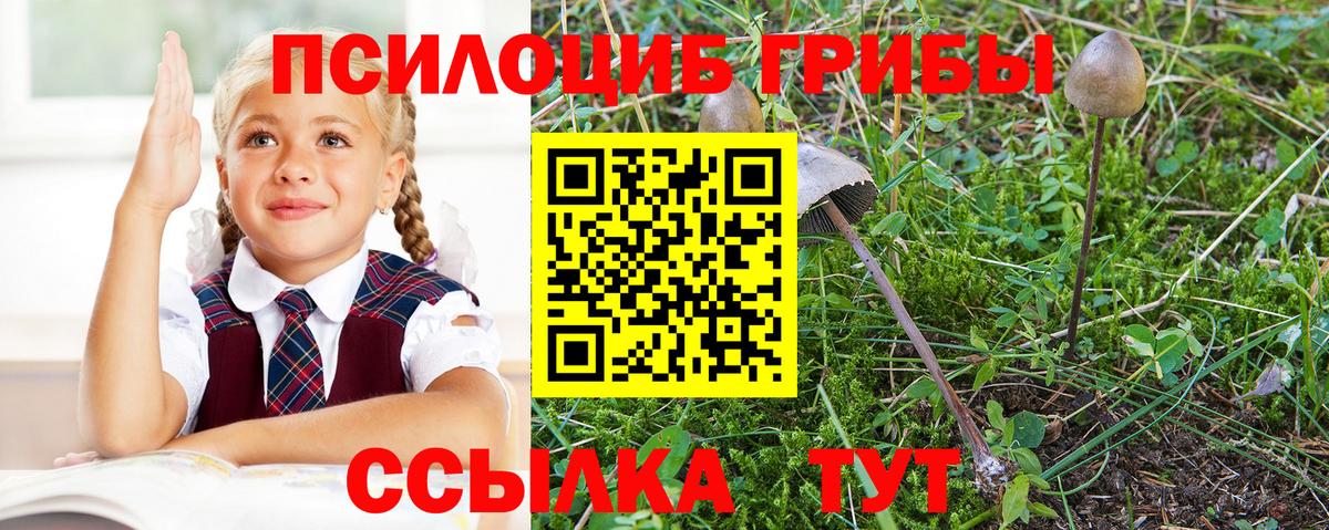 Псков  Псилоцибиновые грибы мицелий  Вход с VPN 