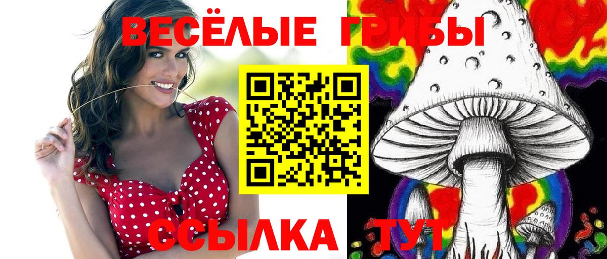 Псилоцибиновые грибы ЛСД Псков